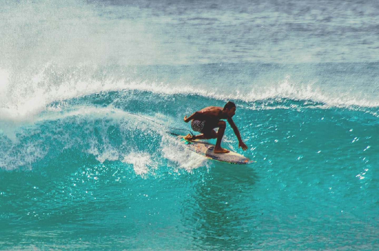 surf posto